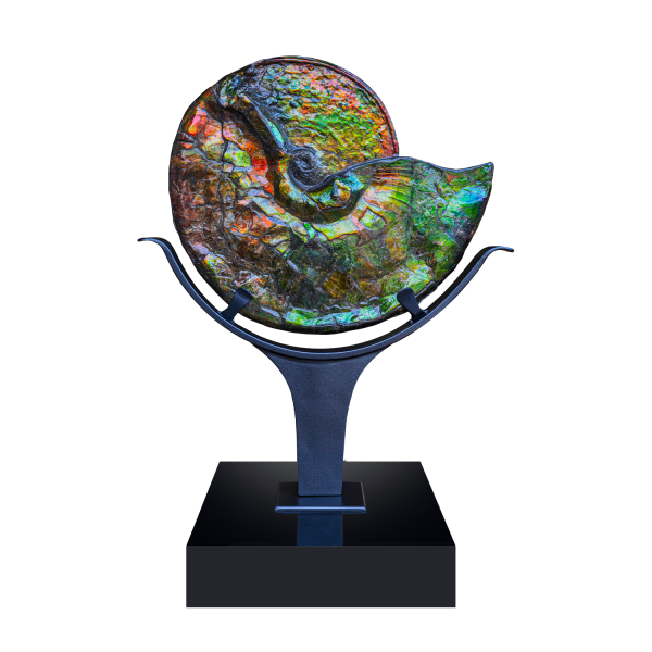Fossil Iridescent Ammolite on Floating Iron Stand