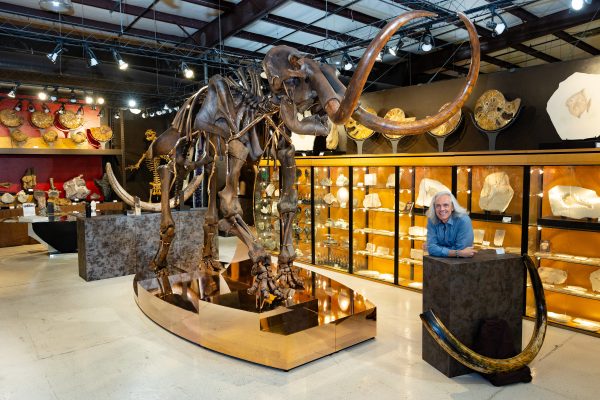 Rosie – Mammoth Skeleton