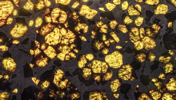 Fukang Pallasite Meteorite