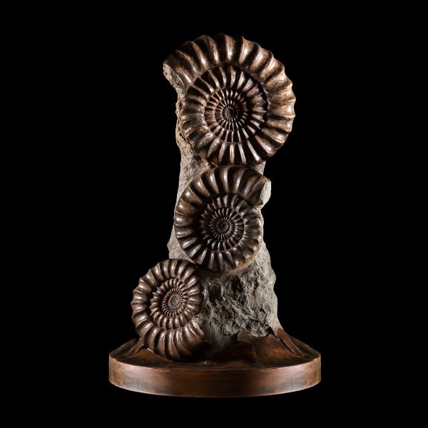 Sculptural Ammonites Association