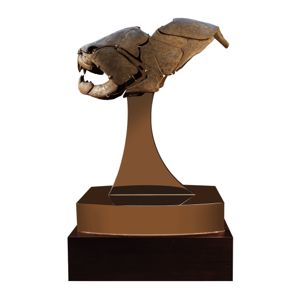 Bony Fish Skull