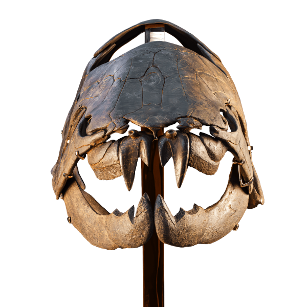 Bony Fish Skull