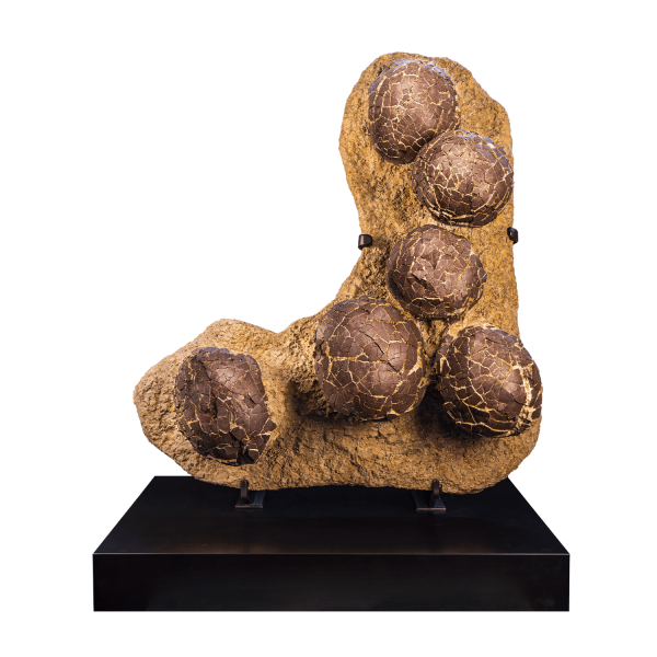 Dinosaur Egg Nest
