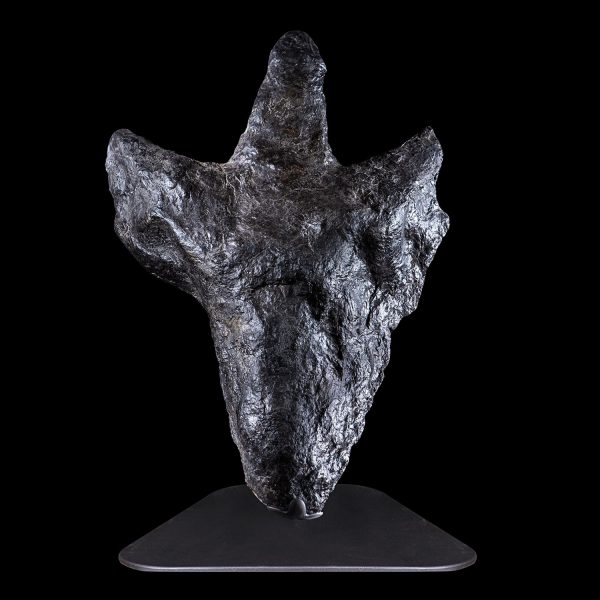 Theropod Footprint