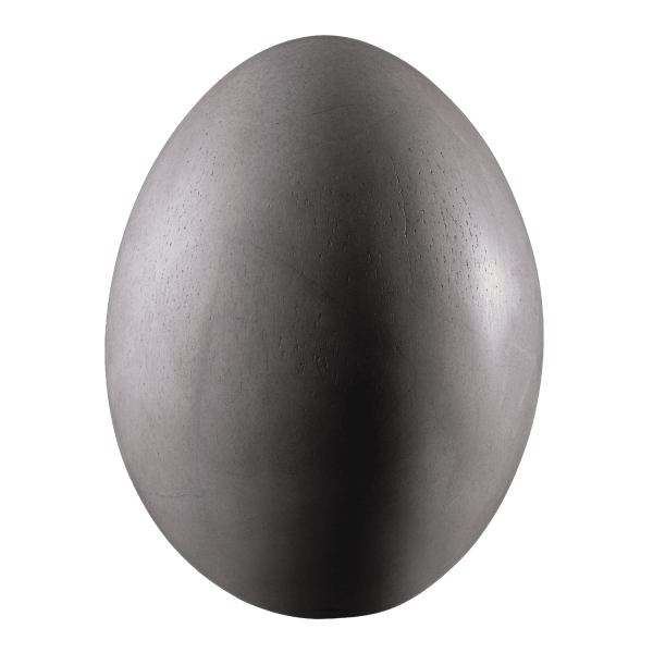 Elephant Bird Egg