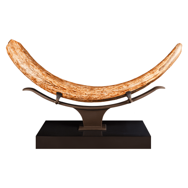 Mammoth Tusk