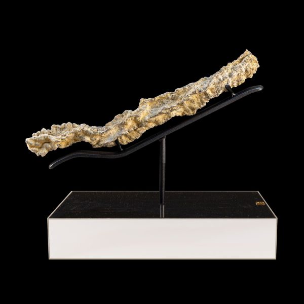 Fulgurite
