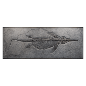 Fossil Ichthyosaurus Skeleton